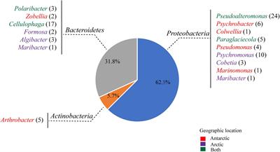 Comparison of Alginate Utilization Pathways in Culturable Bacteria Isolated From Arctic and Antarctic Marine Environments